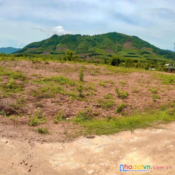 Bán đất vườn giá rẻ khánh vĩnh