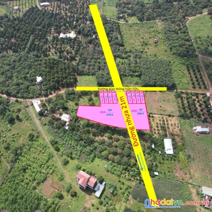 Tôi cần ra gấp lô đất ngay tt dầu giây (5x20)