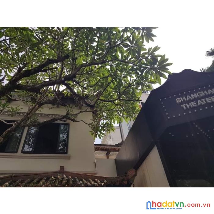 Cần bán gấp căn biệt thự cô mặt phố víp tại trung tâm hai bà trưng.200m2 nhỉnh 100ty.
109 ₫ - 200
