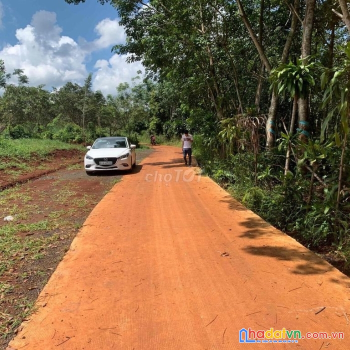 Bán lô đất  đức liễu, bù đăng, bình phước