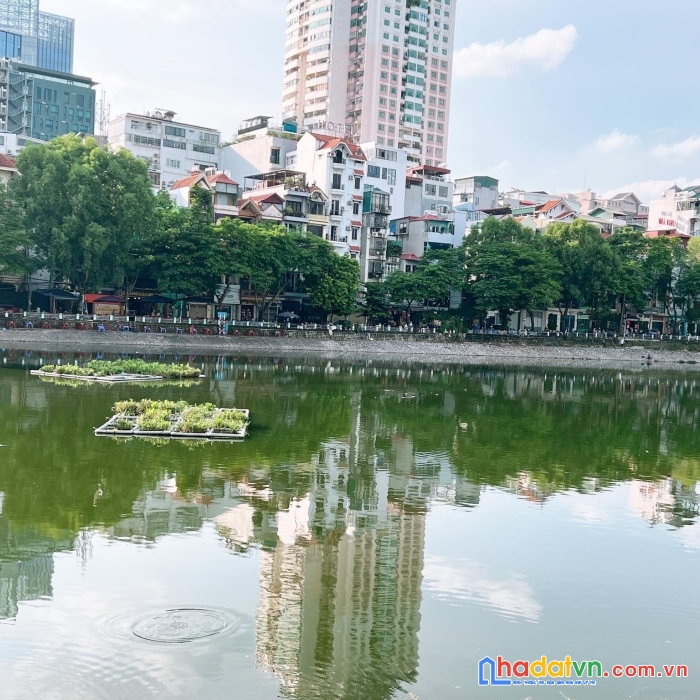 Mặt phố đặng tiến đông - mai anh tuấn - view hồ hoàng cầu - 55m2 - mt 5m - 11,5 tỷ - an sinh đỉnh.