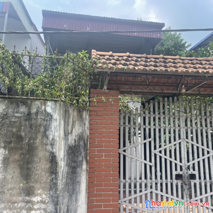 Chủ cần bán gấp nhà 2 tầng tại thanhb trí minh phú sóc sơn  - lh - 0399786838
