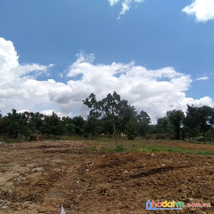 Cần bán lô đất 600tr/ 150m2 tại mặt tiền ngay tt hành chính h.bảo lâm