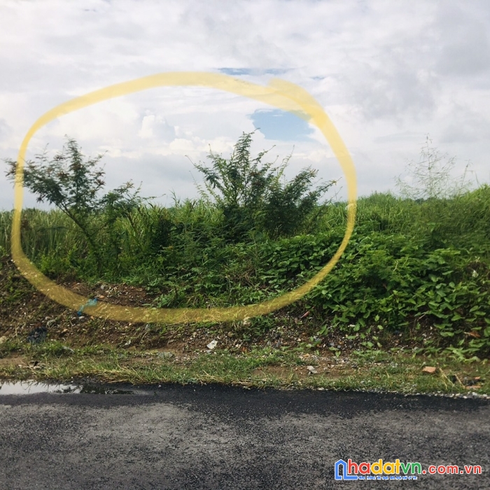 Bán mảnh đất mặt đường ngô gia tự.hải phòng