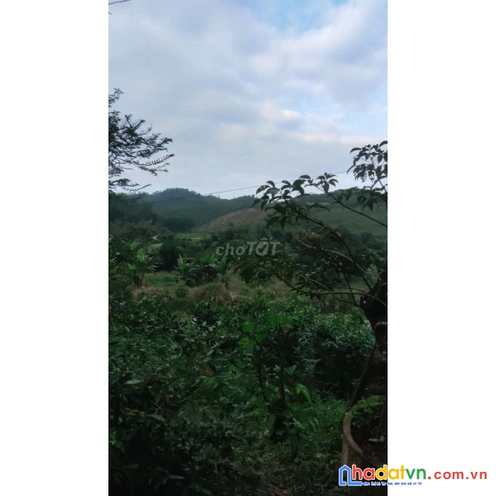 3300ha xã bình tân 837tr sở hữu diện tích 7000m2 - sổ hồng riêng, công chứng ngayđường quốc lộ 1a,