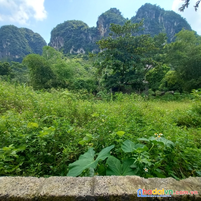 Bán đất siêu nghỉ dưỡng ở thanh sơn,lương sơn,hb, 960m2,đường to, siêu đẹp, giá nhỉnh 1 tỷ