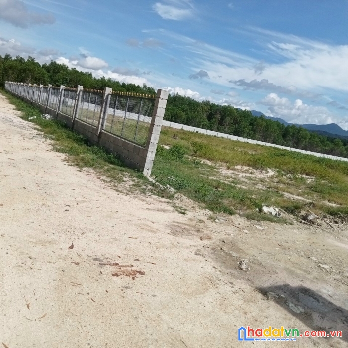Chủ gửi bán gấp lô 3,9ha, có  200 thổ cư , sẵn nhà cấp 4  -  giá đầu tư.