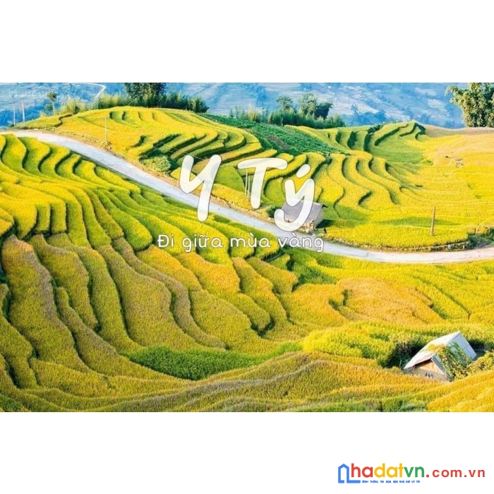 Cần tiền bán gấp .view thung lũng lúa gần các khu đô thị 60ha