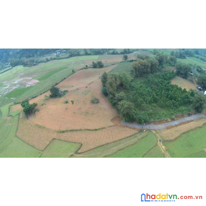 ****siêu phẩm hòn đảo ngọc mini tại mỹ hoà tân lạc hoà bình 1.1ha có thổ cư view đồng, núi