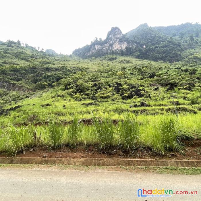 Mảnh đất đón đầu du lịch với 854m tại quản bạ - hà giang