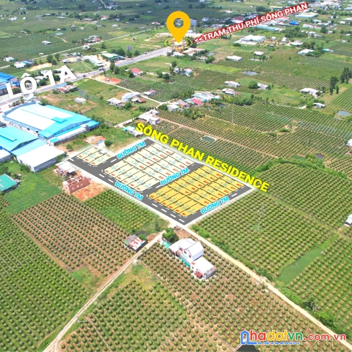 Chỉ một lô duy nhất - hồng liêm, bình thuận