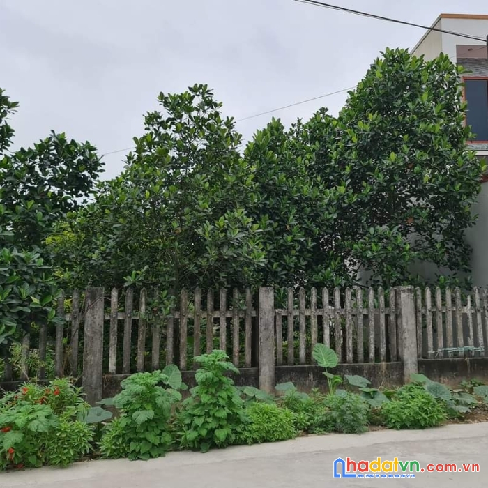 Mặt đường quyết tiến 2 hợp đức đồ sơn hải phòng . 13,7 tr m