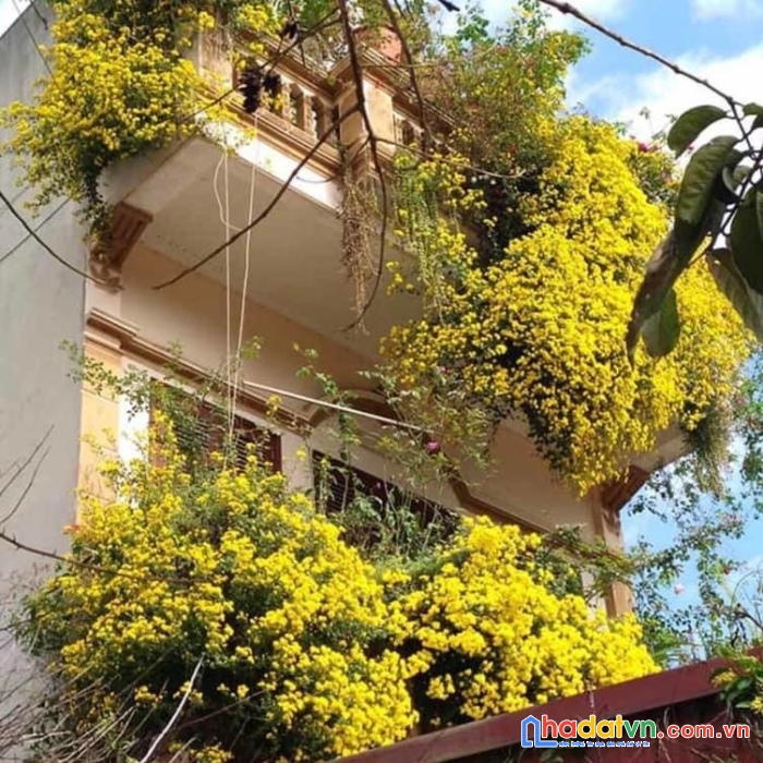 Bán đất giá tốt quận 12 hxh chỉ có trong tháng 7 nhỉnh 4 tỷ hơn 100m2 sổ hồng riêng