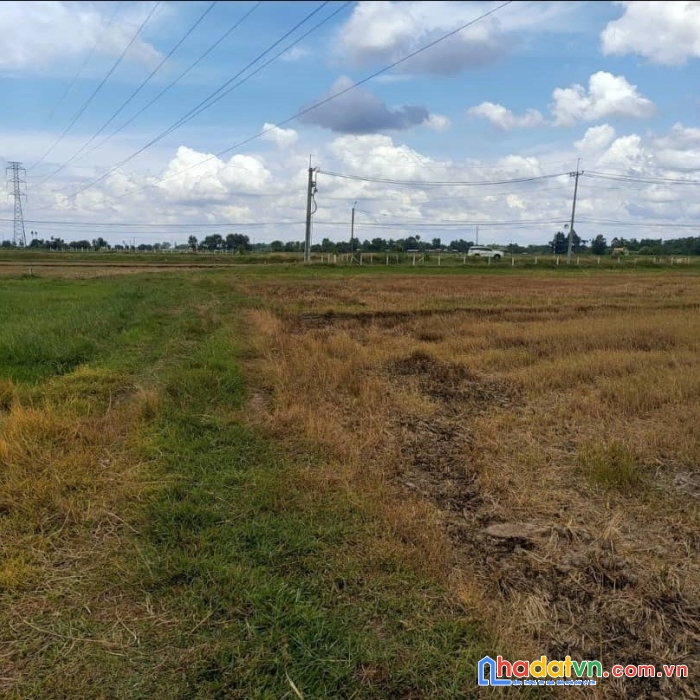 Kẹt tiền bán 1760m2 đất nông nghiệp xã phước thạnh 3.85 tỷ