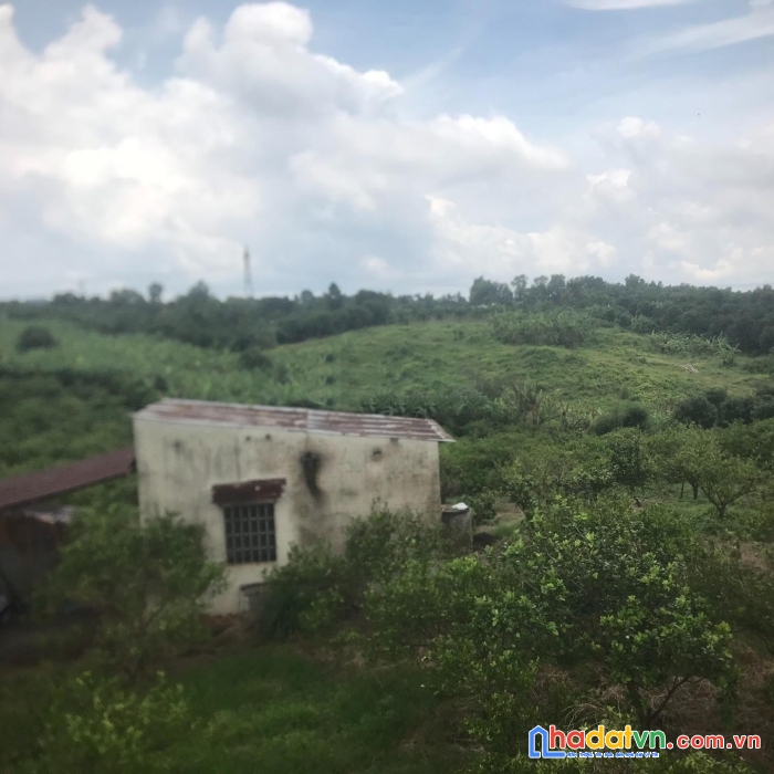 Tôi cần bán lô đất vườn trồng nhiều loại cây ăn quả