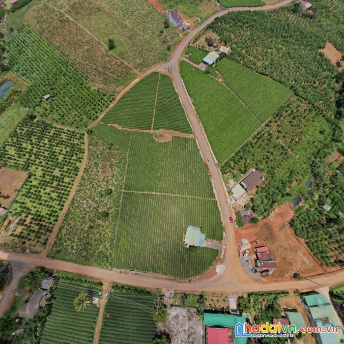 Hot hot sở hữu ngay lô đất vàng trong làng giao thương tại xã đambri, tp bảo lộc , lâm đồng