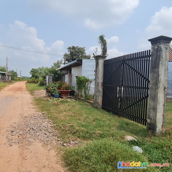 Bán đất tặng kèm căn nhà cấp 4