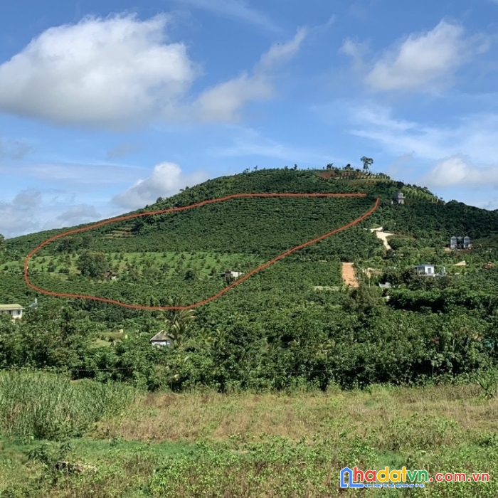 Chính chủ cần bán hơn 2,2ha đất view hồ daklong thượng, đất chưa qua đầu tư