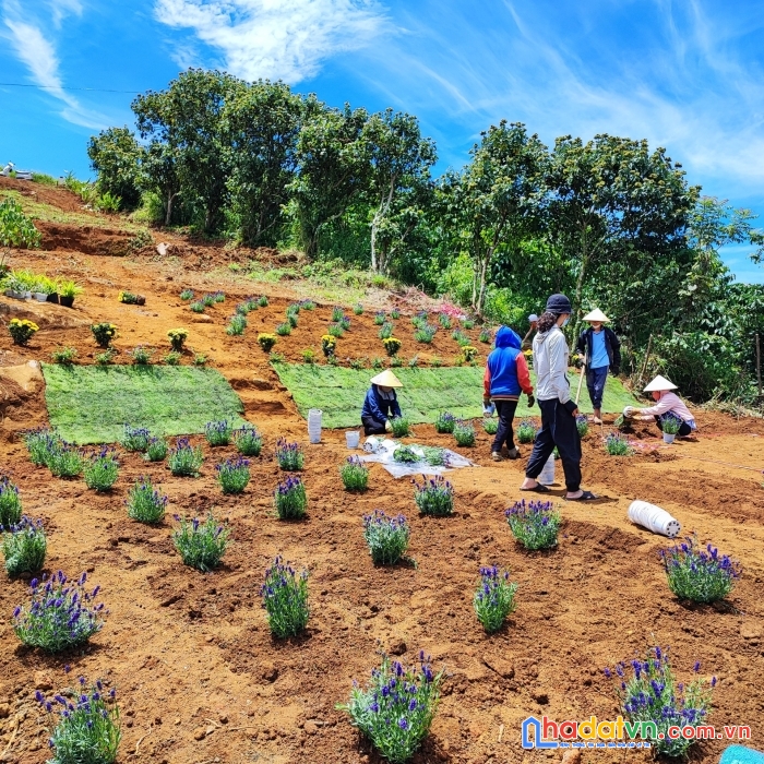 Chỉ 1 tỉ sở hữu ngay đất nền bảo lộc - lâm đồng có sẵn sổ đỏ và thổ cư