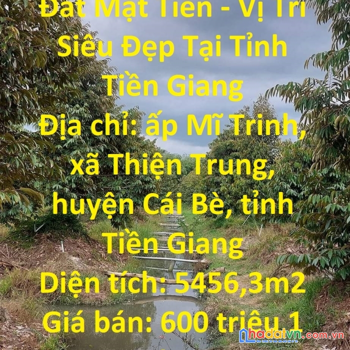 Đất mặt tiền - vị trí siêu đẹp tại tỉnh tiền giang