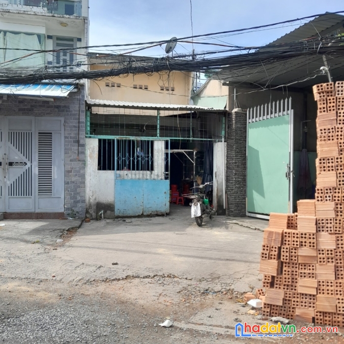 Hàng thơm xuất hiện dành cho đầu tư mua xây dựng.