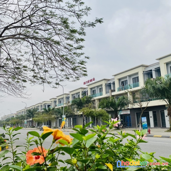 Hàng hiếm trục chính đường 56m kinh doanh sầm uất tại kđt centa city tp từ sơn