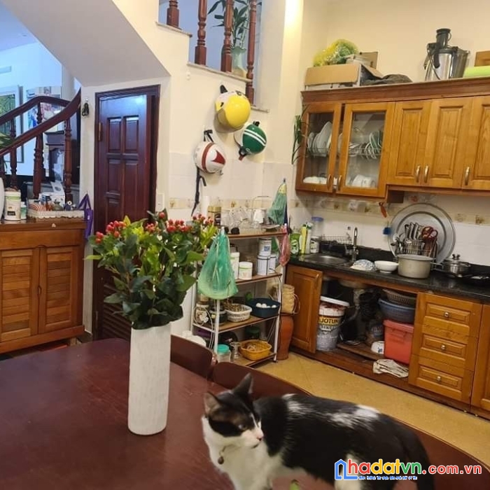 Bán nhà đội cấn, ngõ thông, 30m ra phố, 35m2, 4 tầng, chỉ 3.8 tỷ.