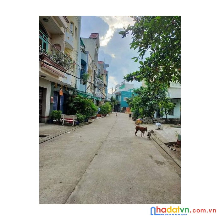 Bán nhà hẻm xe tải tránh nhau, ngay chợ phú lâm đường tân hòa đông bình trị đông bình tân. giá chỉ