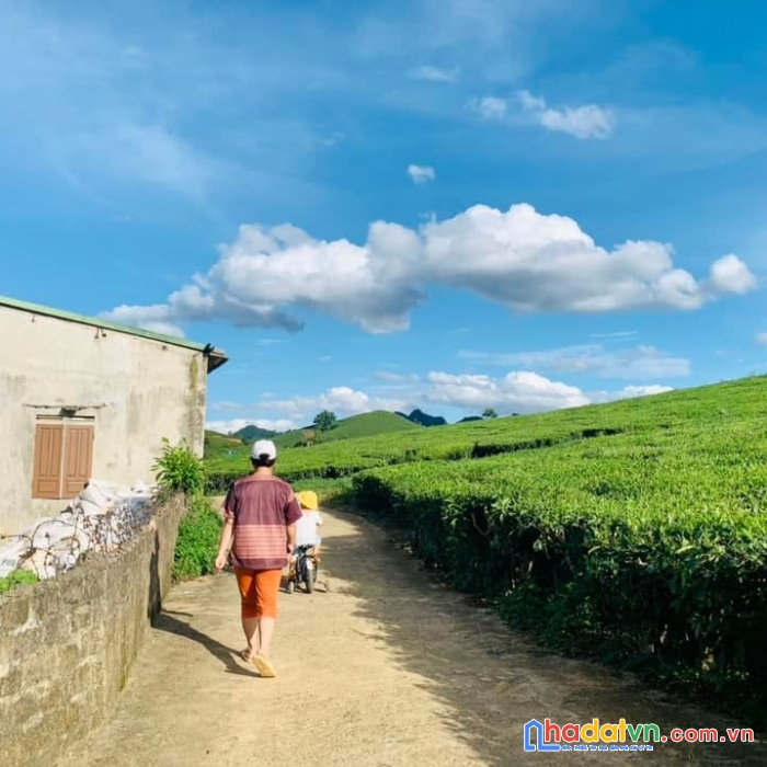 Làm ăn cả đời không bằng tiền lời lô đất ???