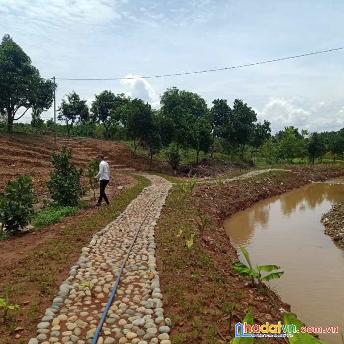 Bán gấp 1344m2 đất mặt tiền quốc lộ 20 giá 700 triệu