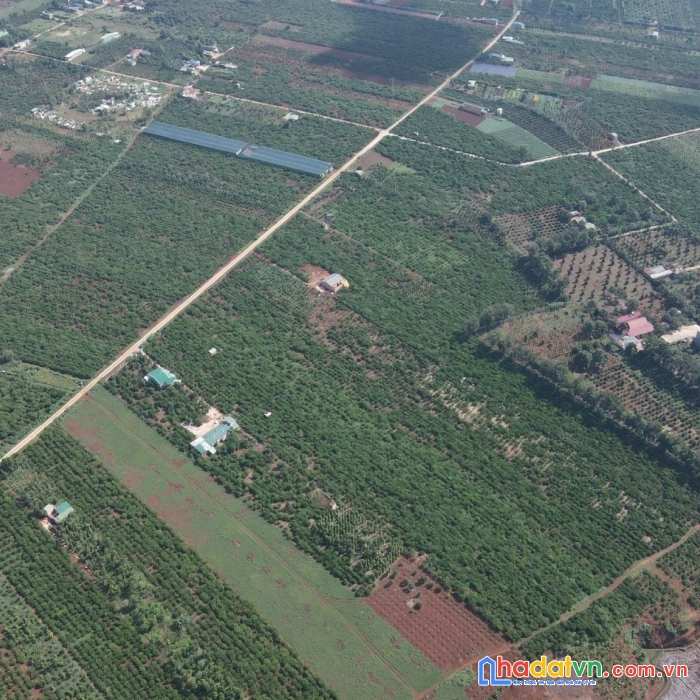 Đất nền greenfield gia lai mặt tiền đường giá 1,4tr/m2 đã có sô riêng