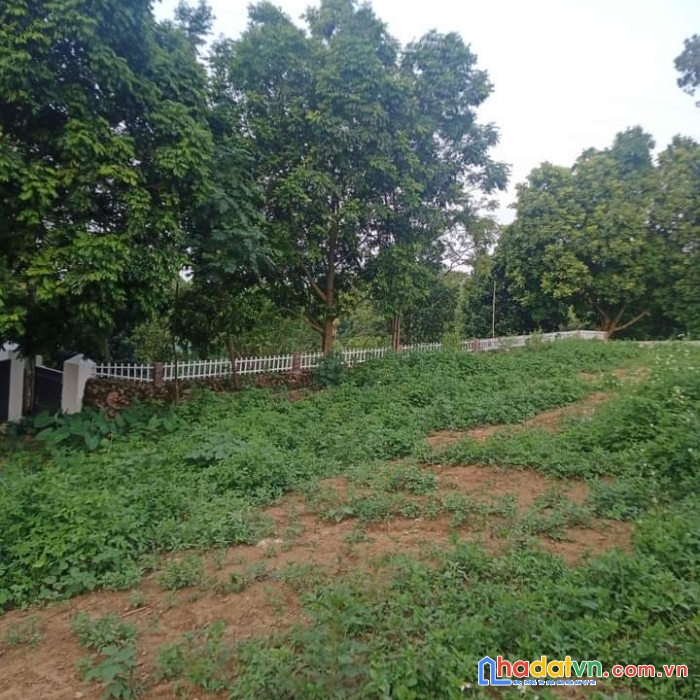 Bán đất nghỉ dưỡng siêu đẹp,ở liên sơn,lương sợn,hb,3055m2,gần sân gol sakylake. 1,7tr/m2