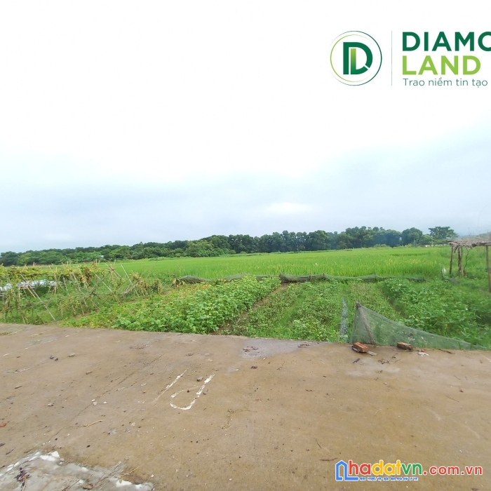 Cc bán nhanh 83m  xuân bách - quang tiến . giá 1ty650tr. đường rộng , ngõ thông . tiện ích ngập