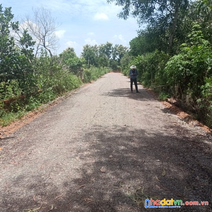 Gia đình tôi cần bán 2.000m2 đất vườn view hồ trị an tại la ngà kcn định quán 650nghìn/m2