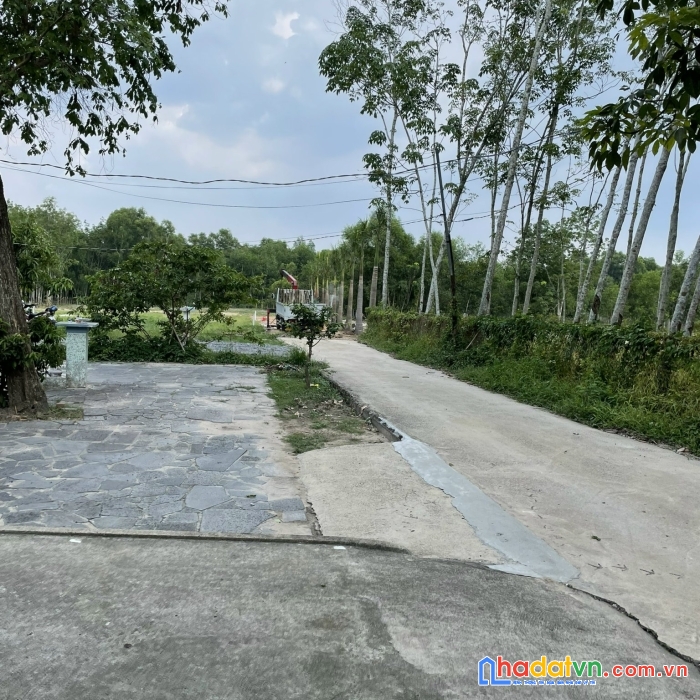 Lô đất  siêu phẩm tại an điền - bến cát - bình dương - giá cực tốt sinh lời cực cao
