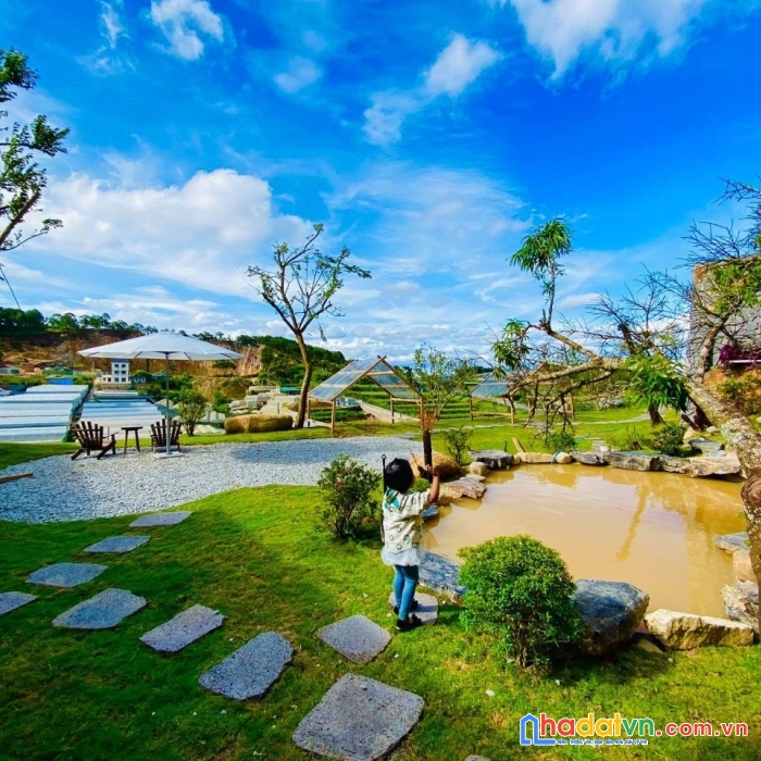 Cần bán gấp quán cà phê check in view đẹp đường lâm văn thạnh, đà lạt 1377m2