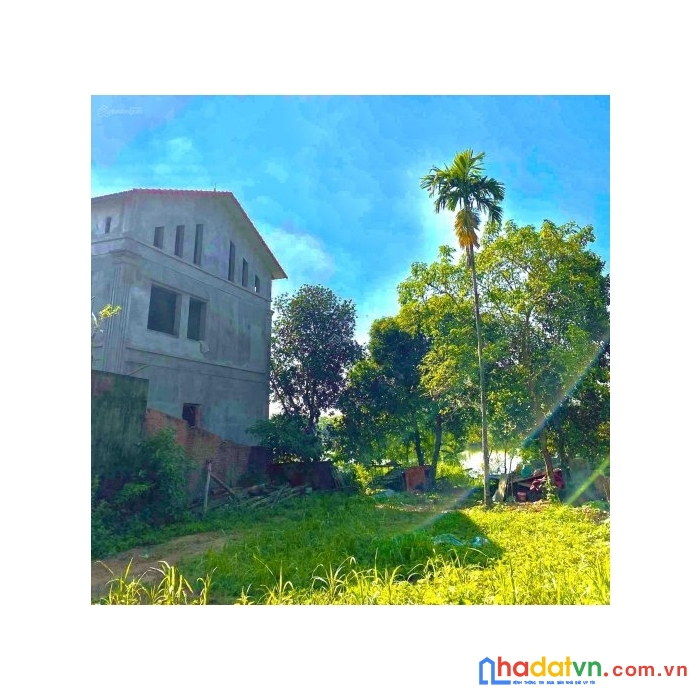 Hàng hiếm, 500m đất tân xã view hồ chủ cần bán gấp. giá hấp dẫn