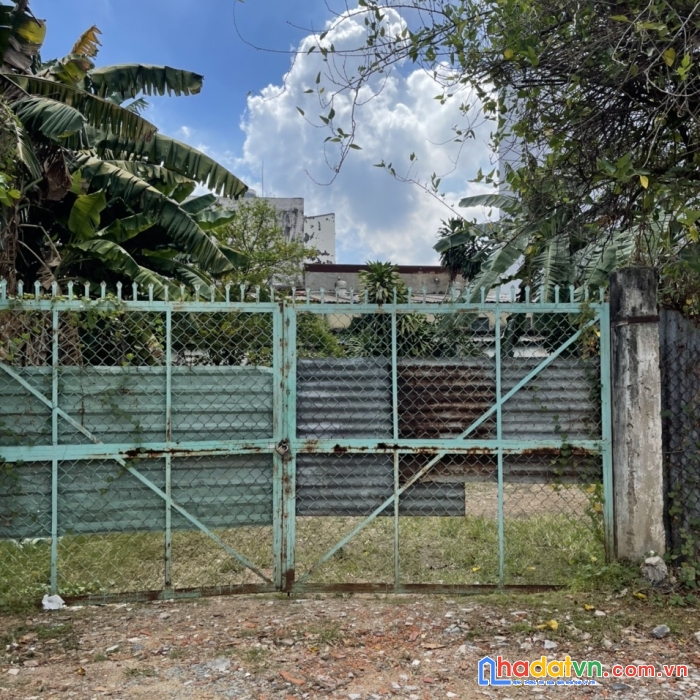 Ban dat trong cay phuong tam phu tp thu duc