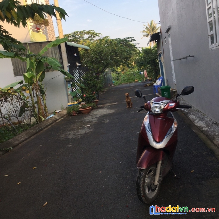 Chính chủ cần bán lô đất vị trí đẹp sát vinhomes grandpark quận 9