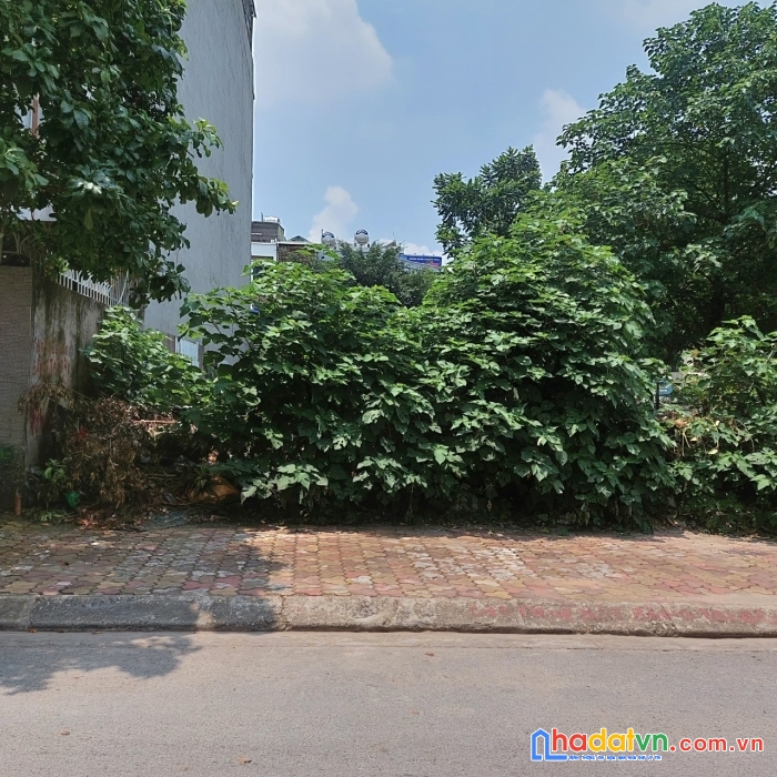 Bán đất khu phân nguyễn văn cừ.long biên.ôtô thông, cách nvc 20m.