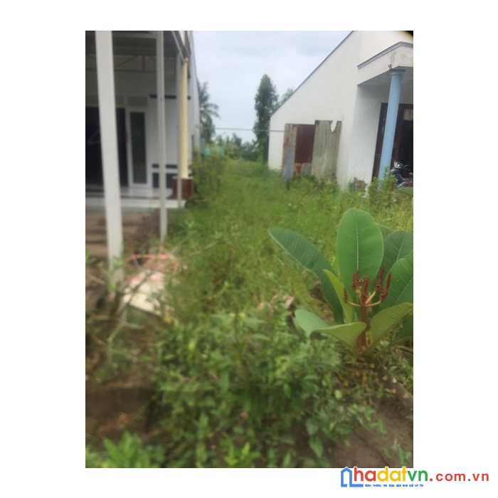 Chính chủ cần bán đất nền tại xã long thạnh