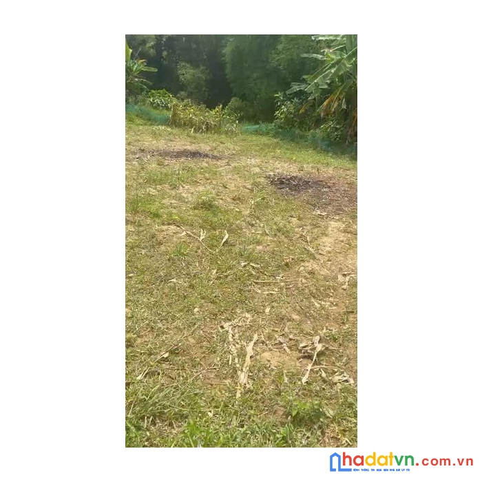 Bán rẻ lô đất kiệtla bông hòa tiến