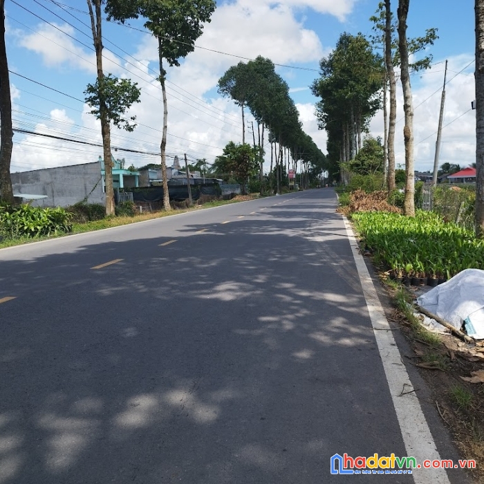 Cơ hội đầu tư đất mặt tiền dt848 vị trí kinh doanh, 143 m2, shr