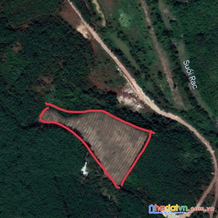 Chính chủ cần bán 1,8 ha đất vườn trồng cây cao su