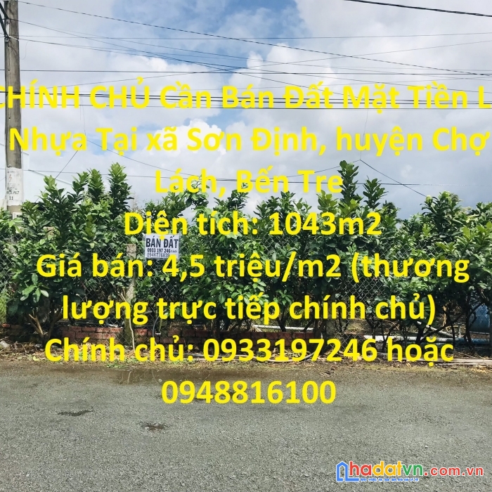 Chính chủ cần bán đất mặt tiền lộ nhựa tại chợ lách, bến tre