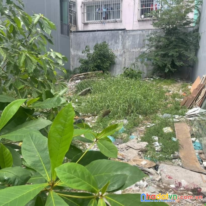 Bán đất thổ cư đường số 5 kdc bông sao  , phường 5 quận 8  72m2