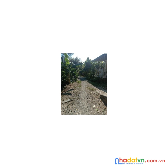 Cần bán nhanh lô đất 136m2 vị trí đẹp, giá rẻ - huyện cao lãnh - t.đồng tháp.