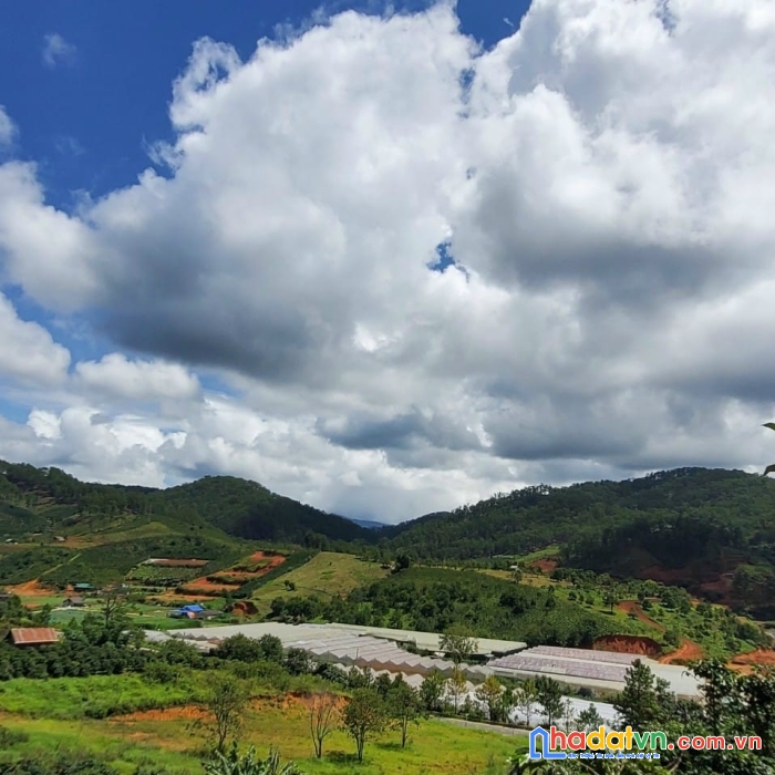 Cần bán gấp đất nông nghiệp rộng view đẹp tại đasar, lạc dương 5000m2 giá chỉ 2.6 tỷ