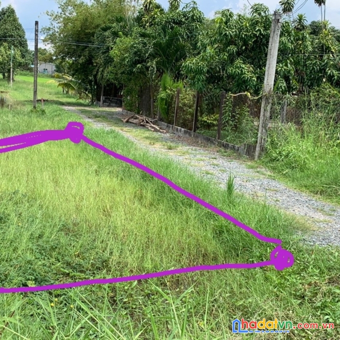 Chính chủ cần bán đất đẹp vị trí đắc địa tại huyện đức hòa, tỉnh long an.