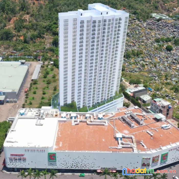 Calla apartment quy nhơn - nhu cầu ở thực